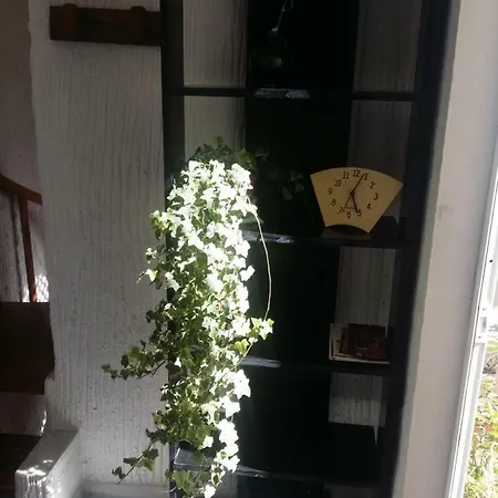 Marina * Jerez de la Frontera