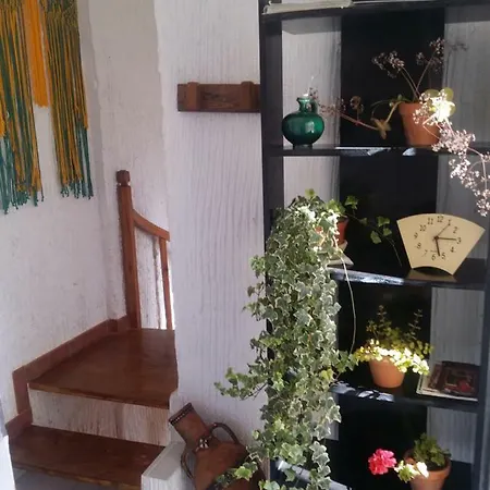 Marina Vendégház Jerez de la Frontera