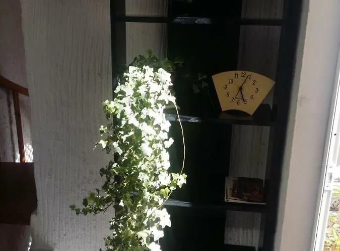 Marina * Jerez de la Frontera